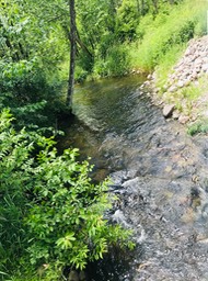 10. Radley Creek