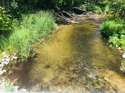 12. Radley Creek
