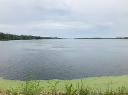7. Buffalo Lake