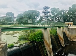 7. Marsh Dam