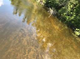 8. Clear River