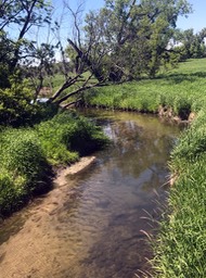 Some Creek