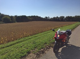 Soy Beans and Bike