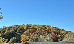 11. Near Kewaskum