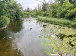 14. She River
