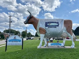 17. Sputnik Cow