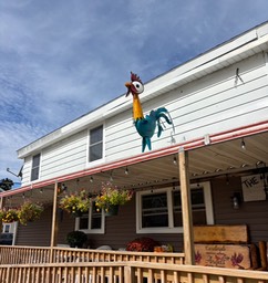 2. The Roost