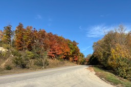 21. Near RA