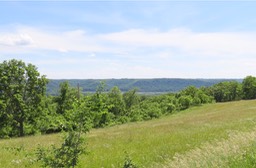 32. MN Views