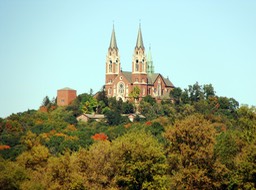 6. Basilica Color