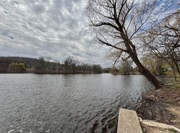 7. Mill Pond